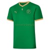 Maillot de Supporter Palmeiras Copa Rio Domicile 70th Anniversaire 2021-22 Pour Homme
